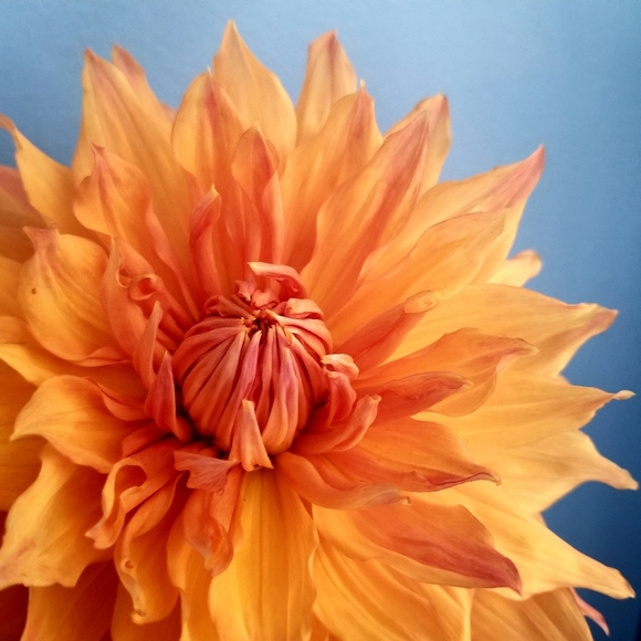 Meet your Posher :) - Picture 3 of 4